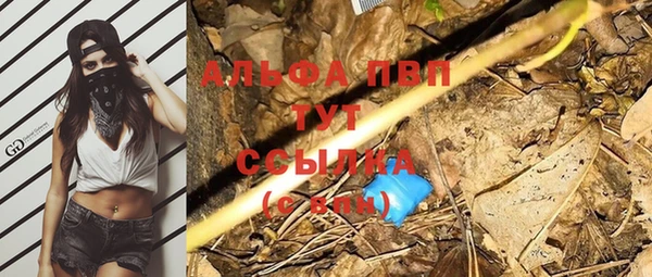 ГАЛЛЮЦИНОГЕННЫЕ ГРИБЫ Михайлов