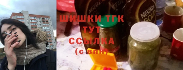 ГАЛЛЮЦИНОГЕННЫЕ ГРИБЫ Михайлов