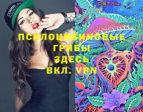 ГАЛЛЮЦИНОГЕННЫЕ ГРИБЫ Михайлов