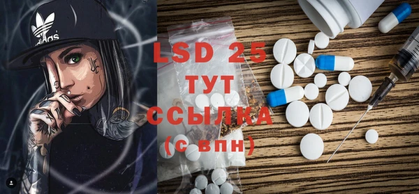 ГАЛЛЮЦИНОГЕННЫЕ ГРИБЫ Михайлов