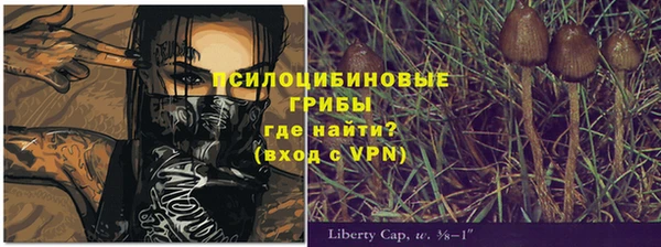 не бодяженный Михайловск