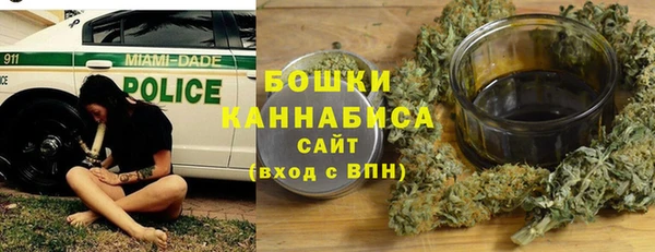 ГАЛЛЮЦИНОГЕННЫЕ ГРИБЫ Михайлов