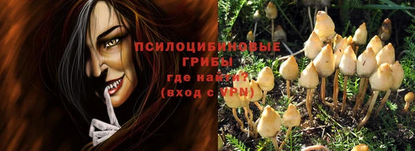 ГАЛЛЮЦИНОГЕННЫЕ ГРИБЫ Михайлов