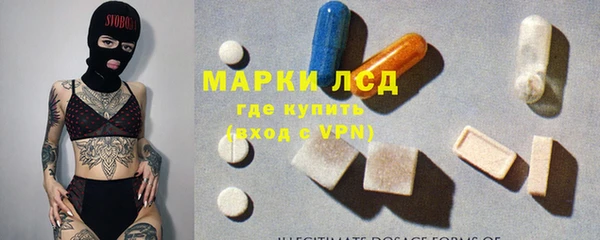 ГАЛЛЮЦИНОГЕННЫЕ ГРИБЫ Михайлов